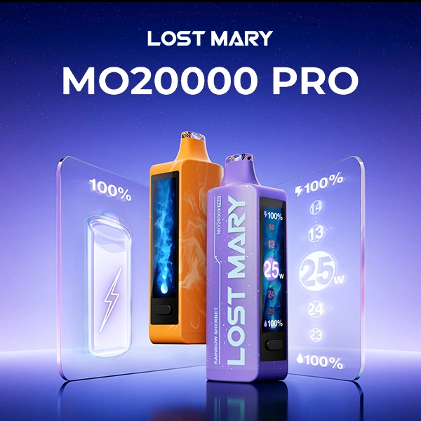 Lost Mary