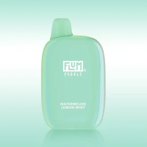 Flum Pebble – Watermelon Lemon Mint