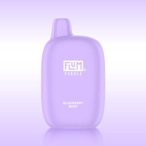 Flum Pebble – Blueberry Mint