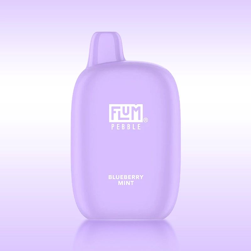 Flum Pebble – Blueberry Mint
